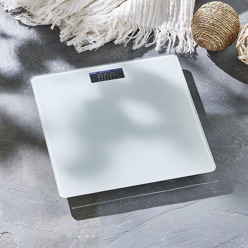 SW002 BOBY WEIGHT SCALE
